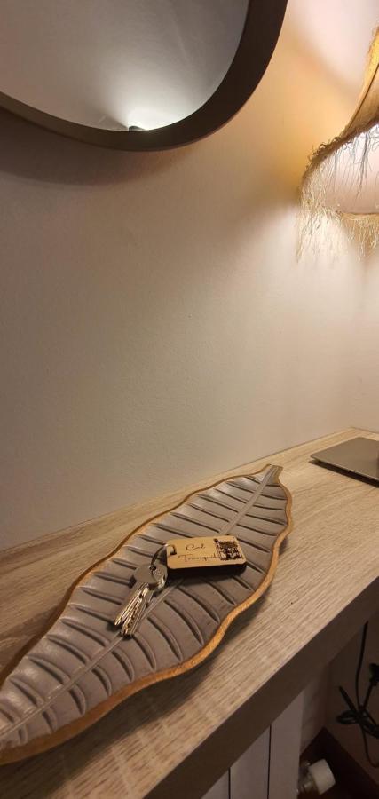 Cal Tranquil Camprodon, Acollidor Atic Al Centreアパートメント エクステリア 写真